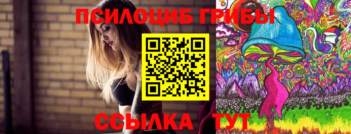 Псилоцибиновые грибы MAGIC MUSHROOMS Пятигорск