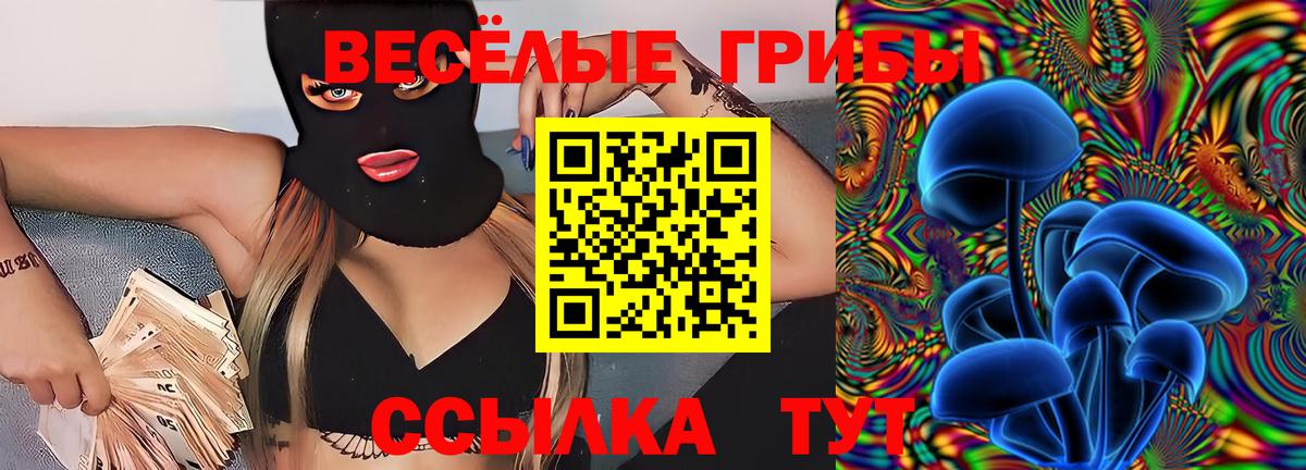 Галлюциногенные грибы ЛСД  Вход с VPN  Пятигорск 