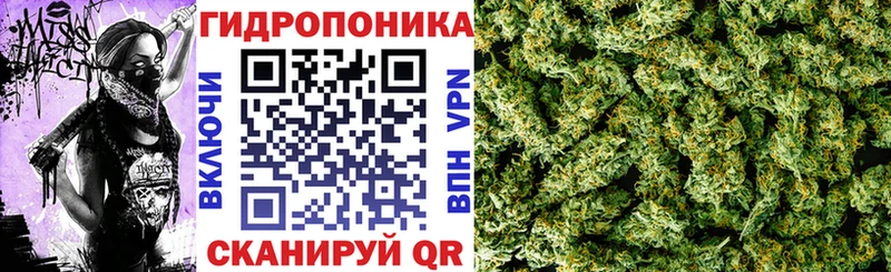 как найти   Пятигорск  ссылка на мегу ТОР  Каннабис ГИДРОПОН 